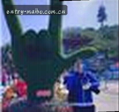 赵磊